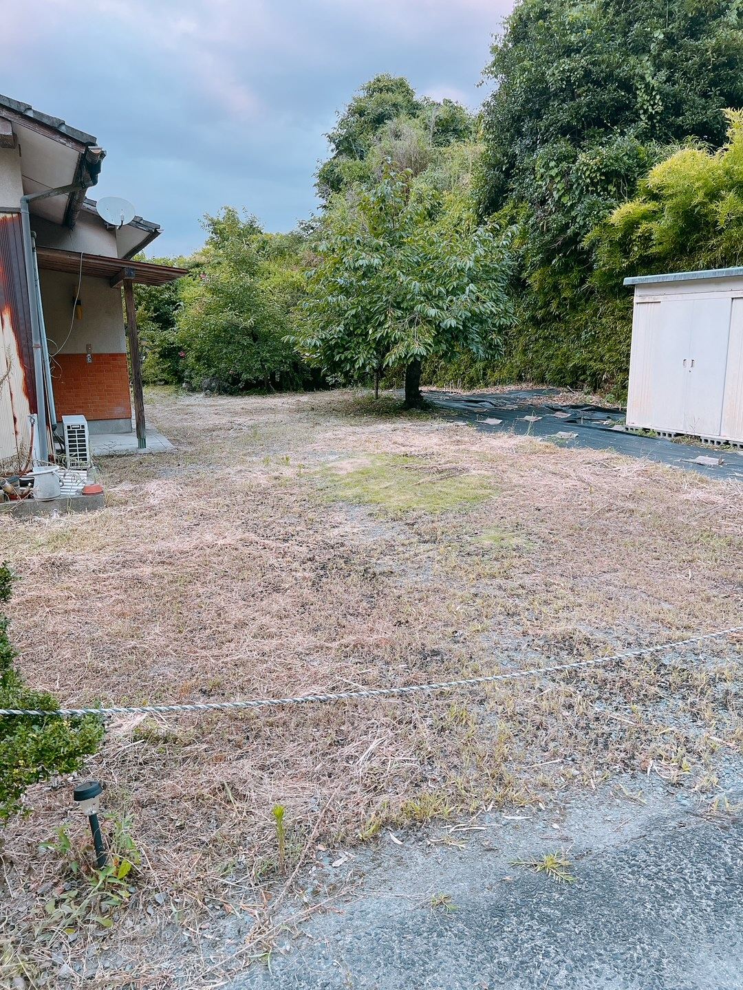 草刈り後