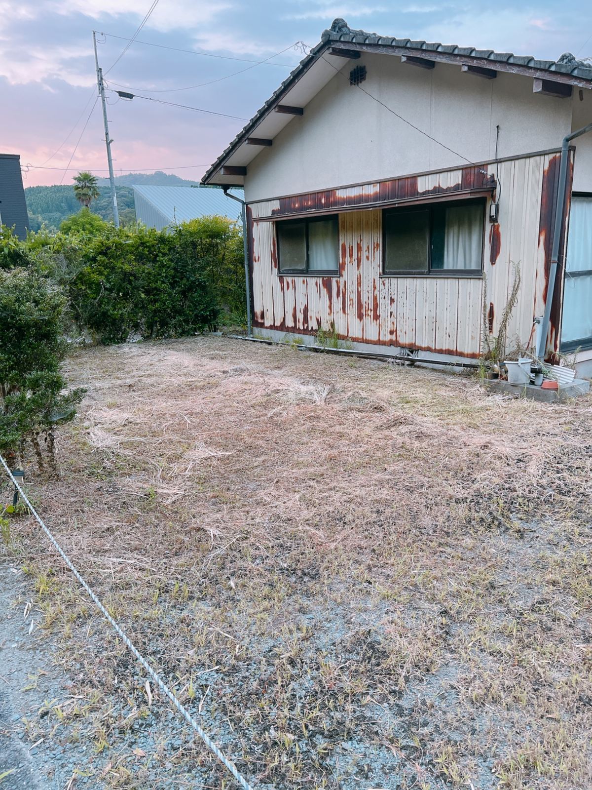 草刈り後
