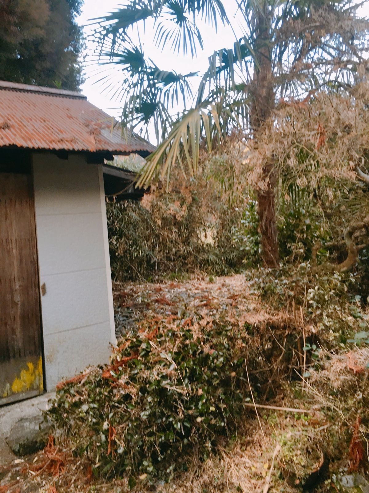 巡回報告写真（追加2）