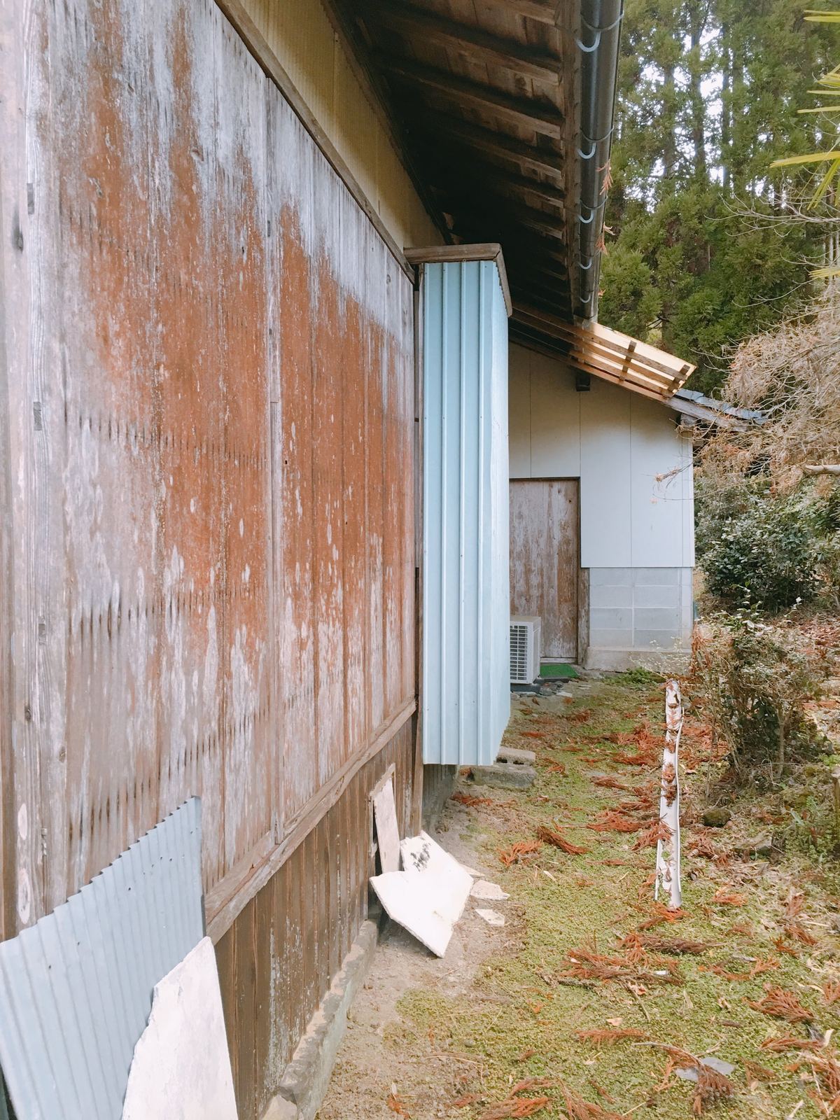 巡回報告写真（追加4）